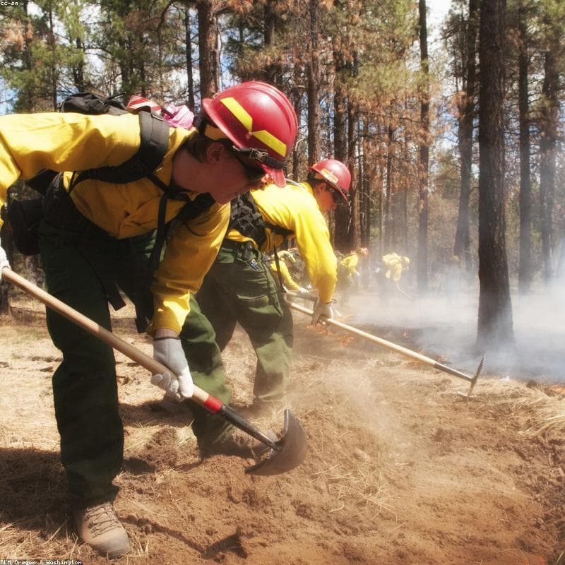 Centrale de détection incendie adressable 4 boucles